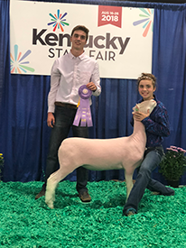 Steva Robinson Show Stock Winners