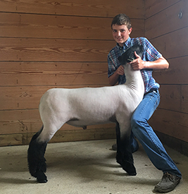 Steva Robinson Show Stock Winners
