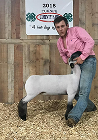 Steva Robinson Show Stock Winners