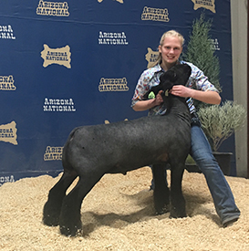Steva Robinson Show Stock Winners