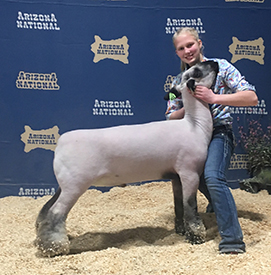 Steva Robinson Show Stock Winners