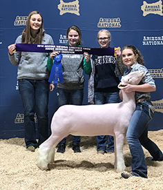 Steva Robinson Show Stock Winners