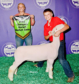 Steva Robinson Show Stock Winners