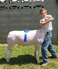 Steva Robinson Show Stock Winners