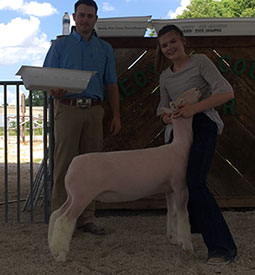 Steva Robinson Show Stock Winners