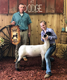 Steva Robinson Show Stock Winners