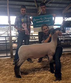 Steva Robinson Show Stock Winners