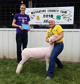 Steva Robinson Show Stock Winners
