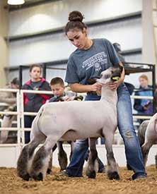 Steva Robinson Show Stock Winners