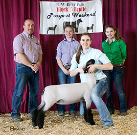 Steva Robinson Show Stock Winners