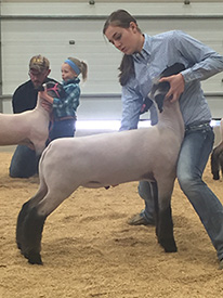 Steva Robinson Show Stock Winners