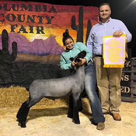 Steva Robinson Show Stock Winners