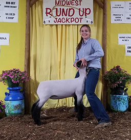 Steva Robinson Show Stock Winners