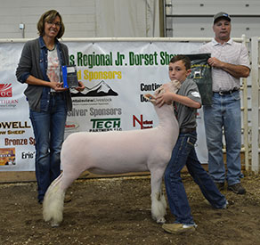Steva Robinson Show Stock Winners