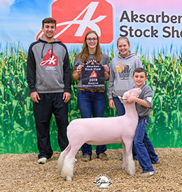 Steva Robinson Show Stock Winners