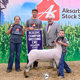 Steva Robinson Show Stock Winners
