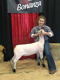 Steva Robinson Show Stock Winners