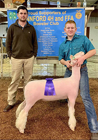 Steva Robinson Show Stock Winners