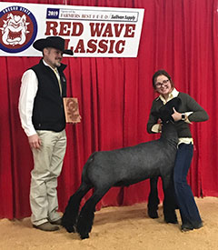 Steva Robinson Show Stock Winners