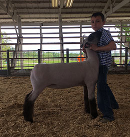 Steva Robinson Show Stock Winners