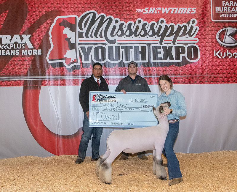 Steva Robinson Show Stock Champion