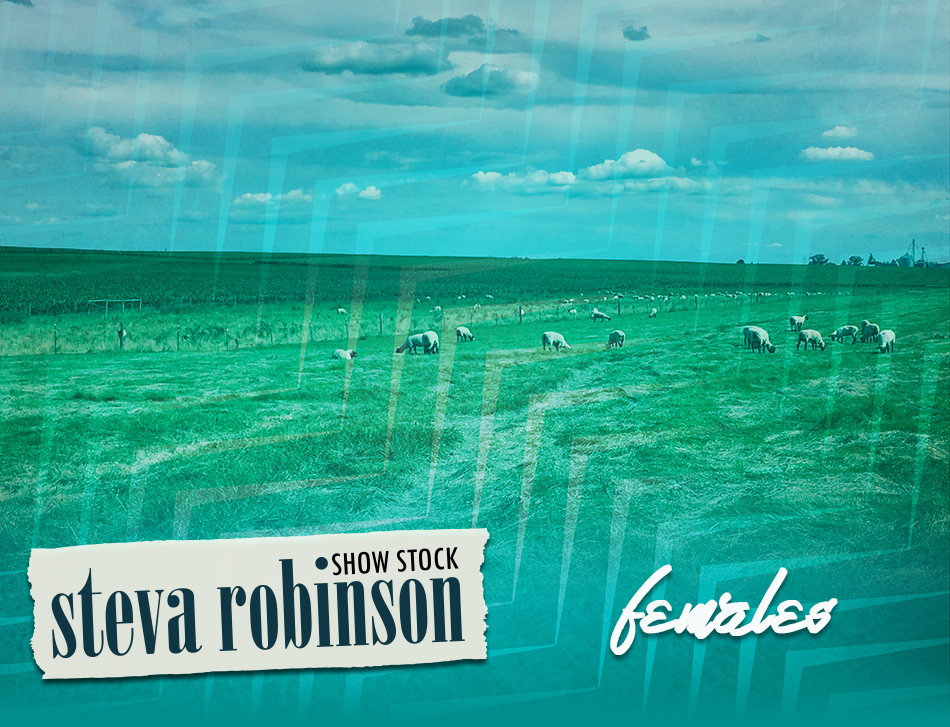 Steva Robinson Show Stock