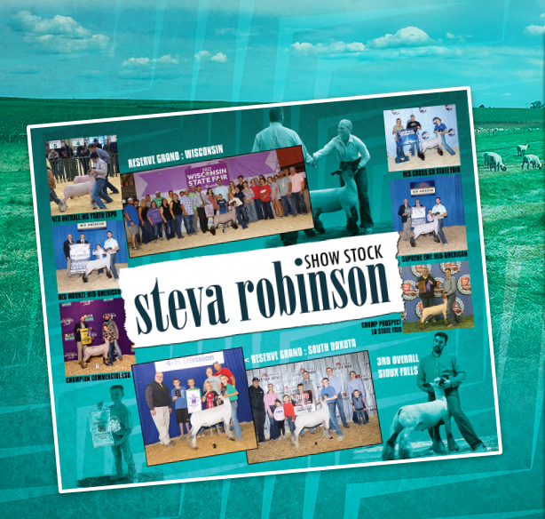 Steva Robinson Show Stock