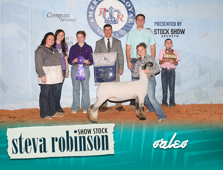 Steva Robinson Show Stock