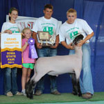 Steva Robinson Show Stock Sire - Ludacris