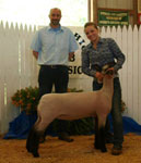 Steva Robinson Show Stock Sire - Ludacris